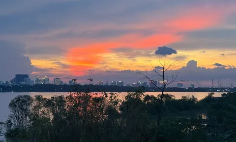 Đền Rừng - “Hòn đảo nhỏ” giữa lòng thủ đô